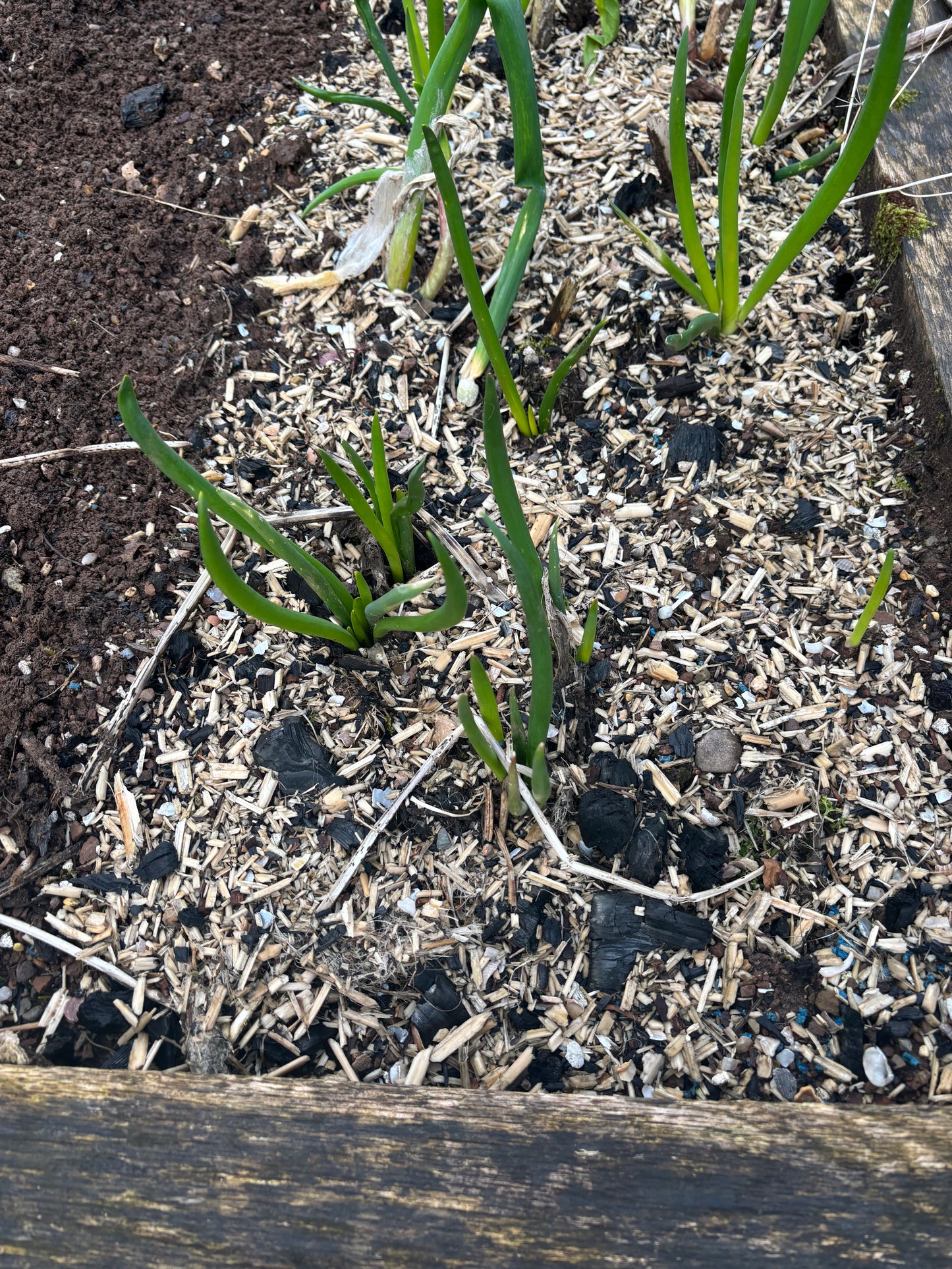 Slug Shield™ Tri-Guard™ – 3 L